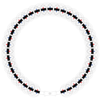 Tao Raffi Magnetic Necklace